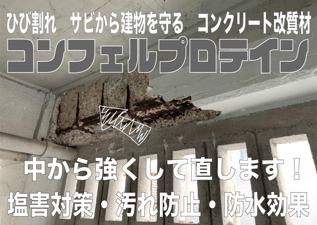 コンフェルプロテイン