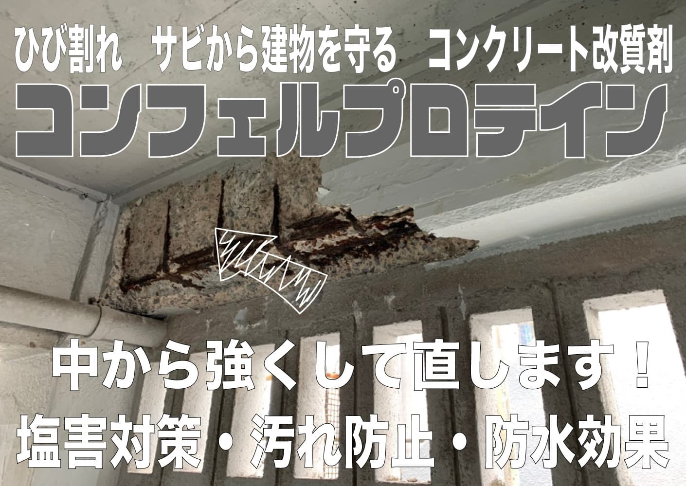 コンフェルプロテイン